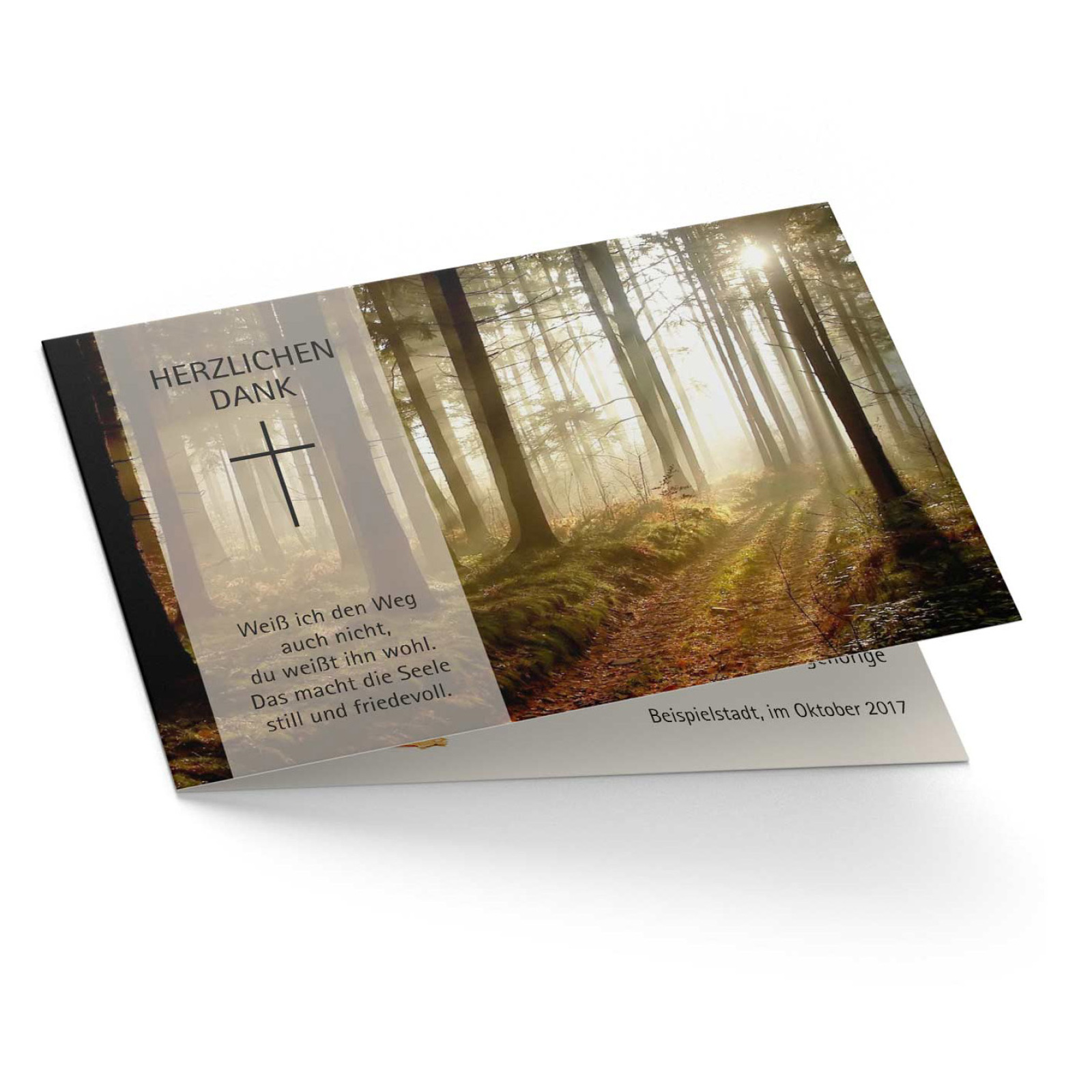 Test für Vorschaubild