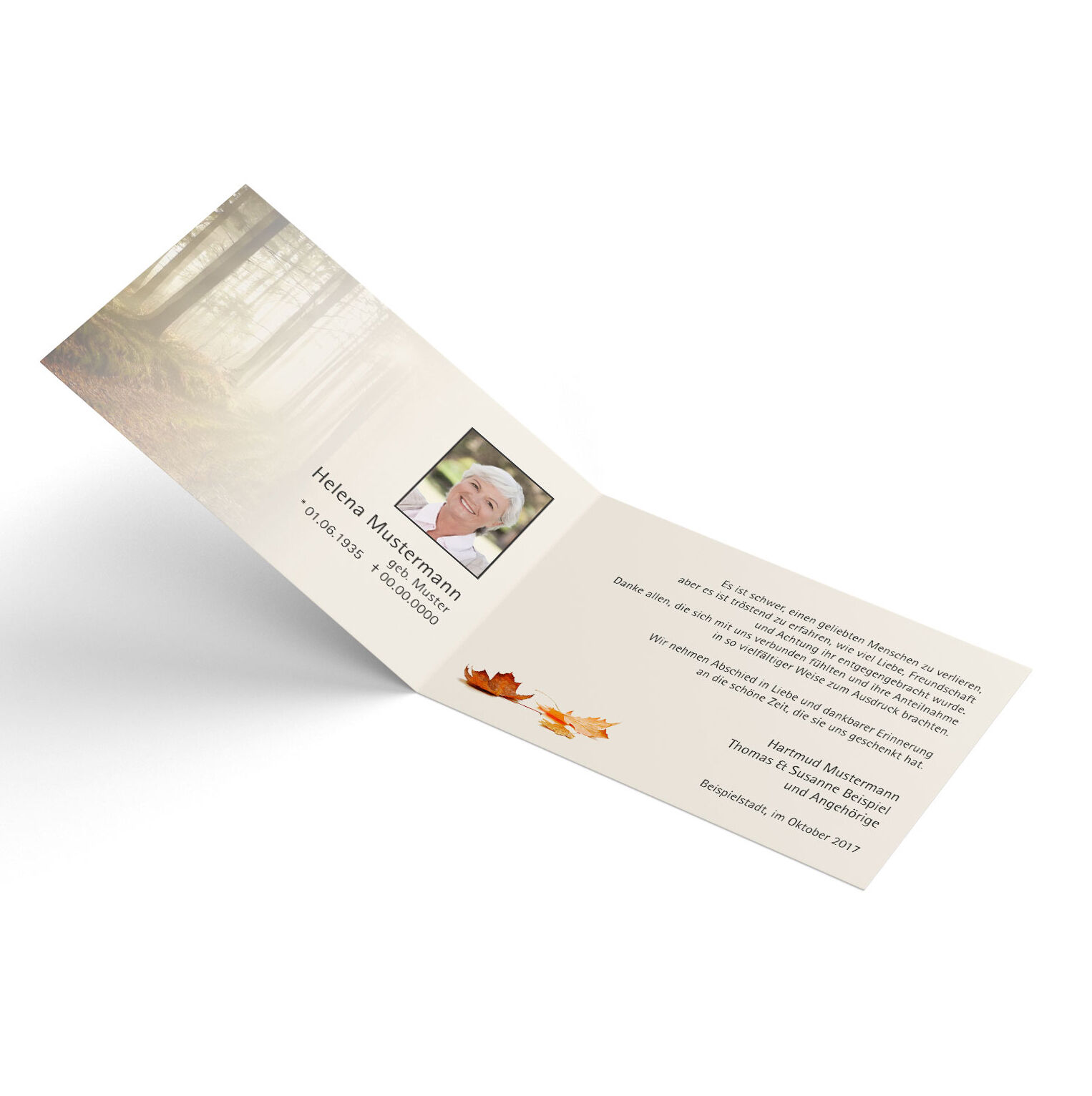 Test für Vorschaubild