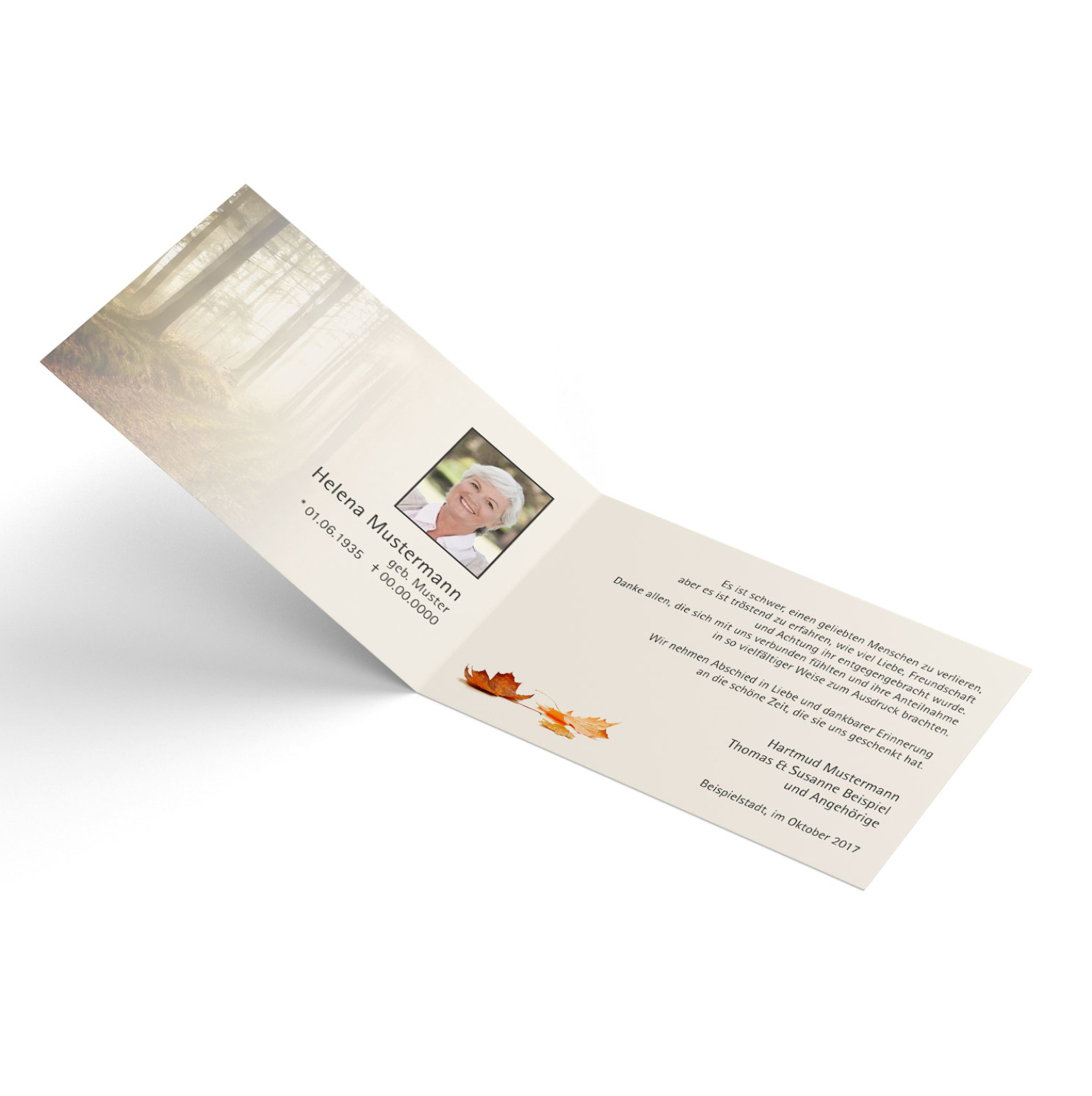 Test für Vorschaubild-1