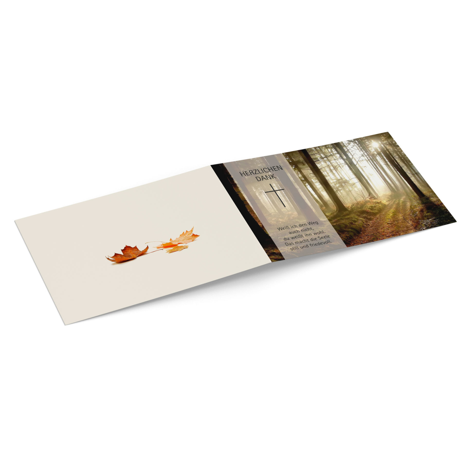 Test für Vorschaubild-3