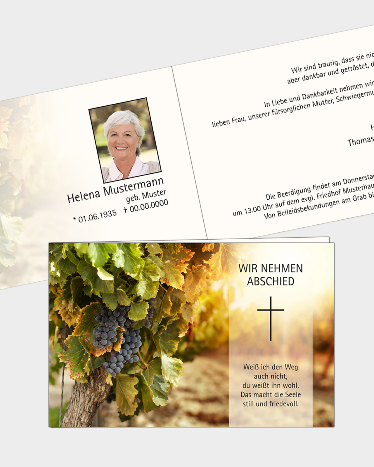 Test2 für Vorschaubild