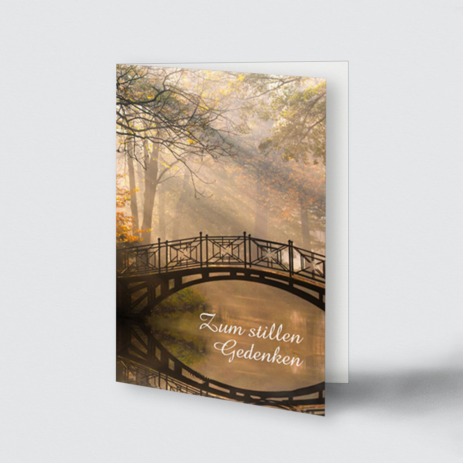  Brücke im Morgenlicht