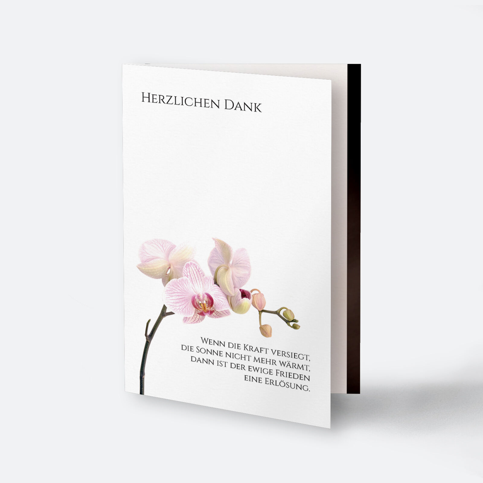 Trauer-Dankeskarte Orchideenzweig, weiße Karte mit rosa Orchideenblüte und Spruch, Aufschrift Herzlichen Dank