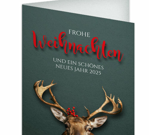 Wilde Weihnacht Wilde Weihnacht
